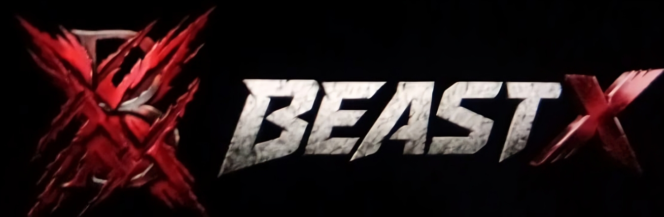 beastx.pk